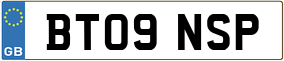 Truck License Plate